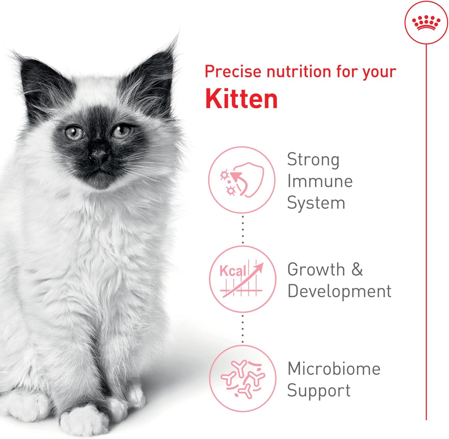 Royal Canin Feline Health Nutrition Kitten Dry Cat Food, 3 lb Bag