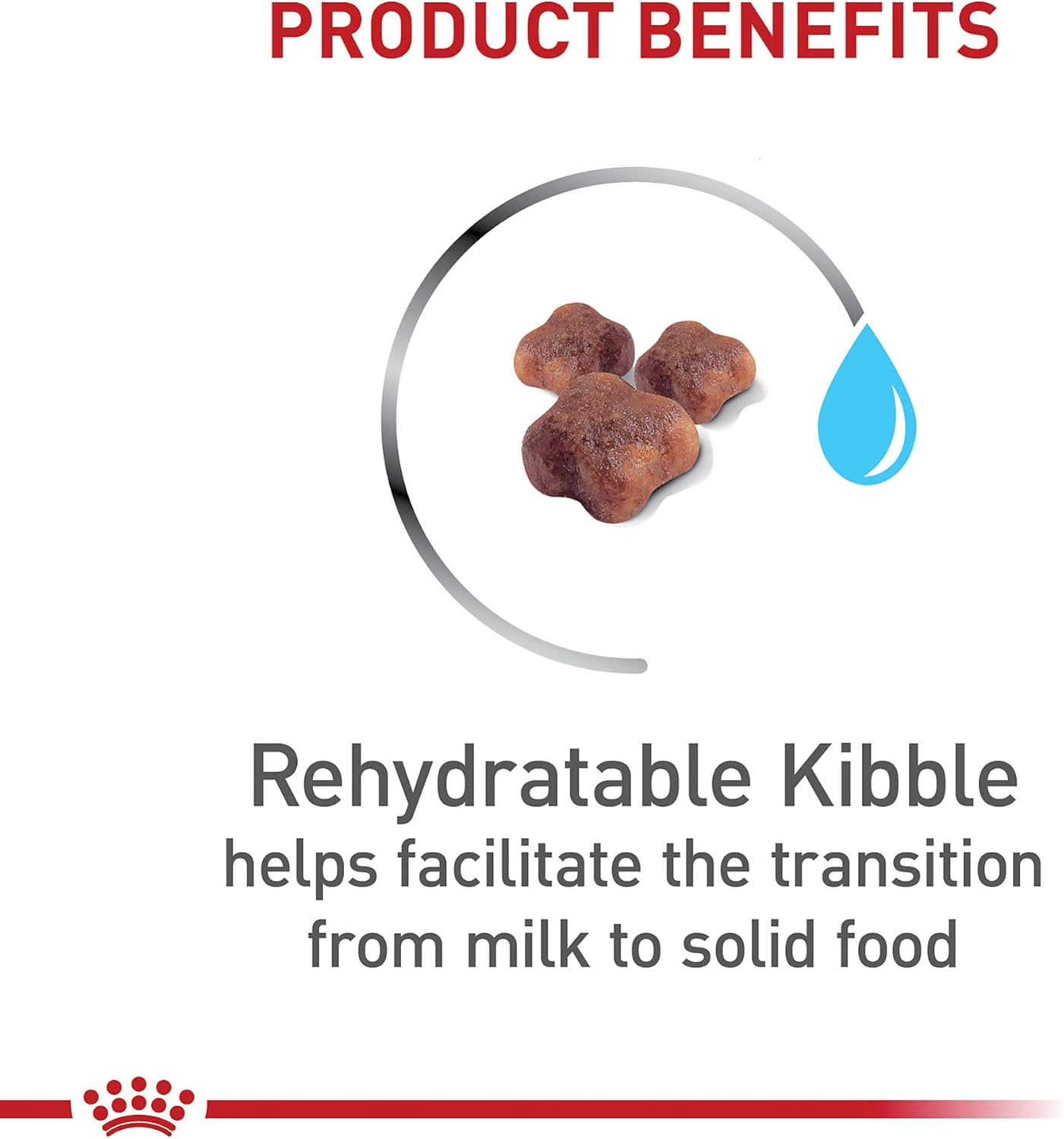 Royal Canin Feline Health Nutrition Mother & Babycat 6 lb Bag