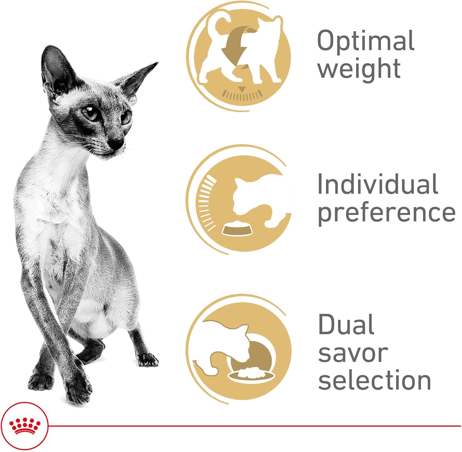 Royal Canin Savor Selective Adult Dry Cat Food, 6 lb bag