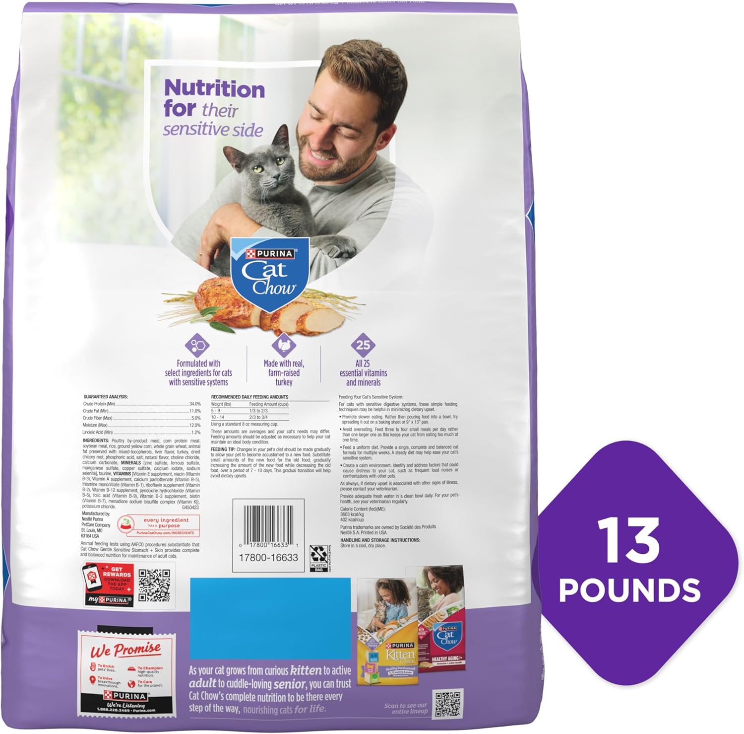 Purina Cat Chow Gentle Sensitive Stomach and Skin Dry Cat Food with Turkey - 13 lb. Bag
