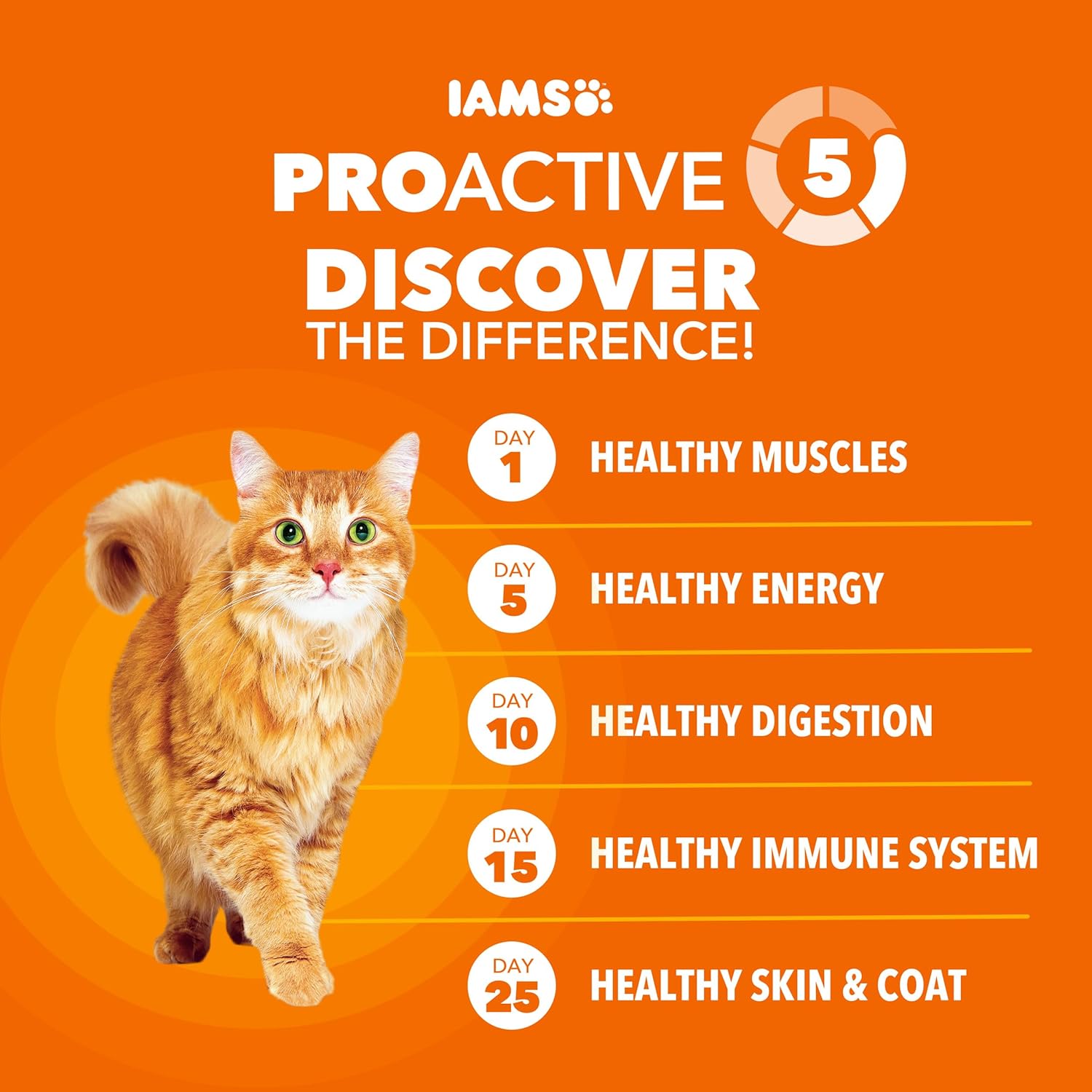 IAMS Proactive Health Adult Healthy Dry Cat Food with Chicken, 22 lb. Bag