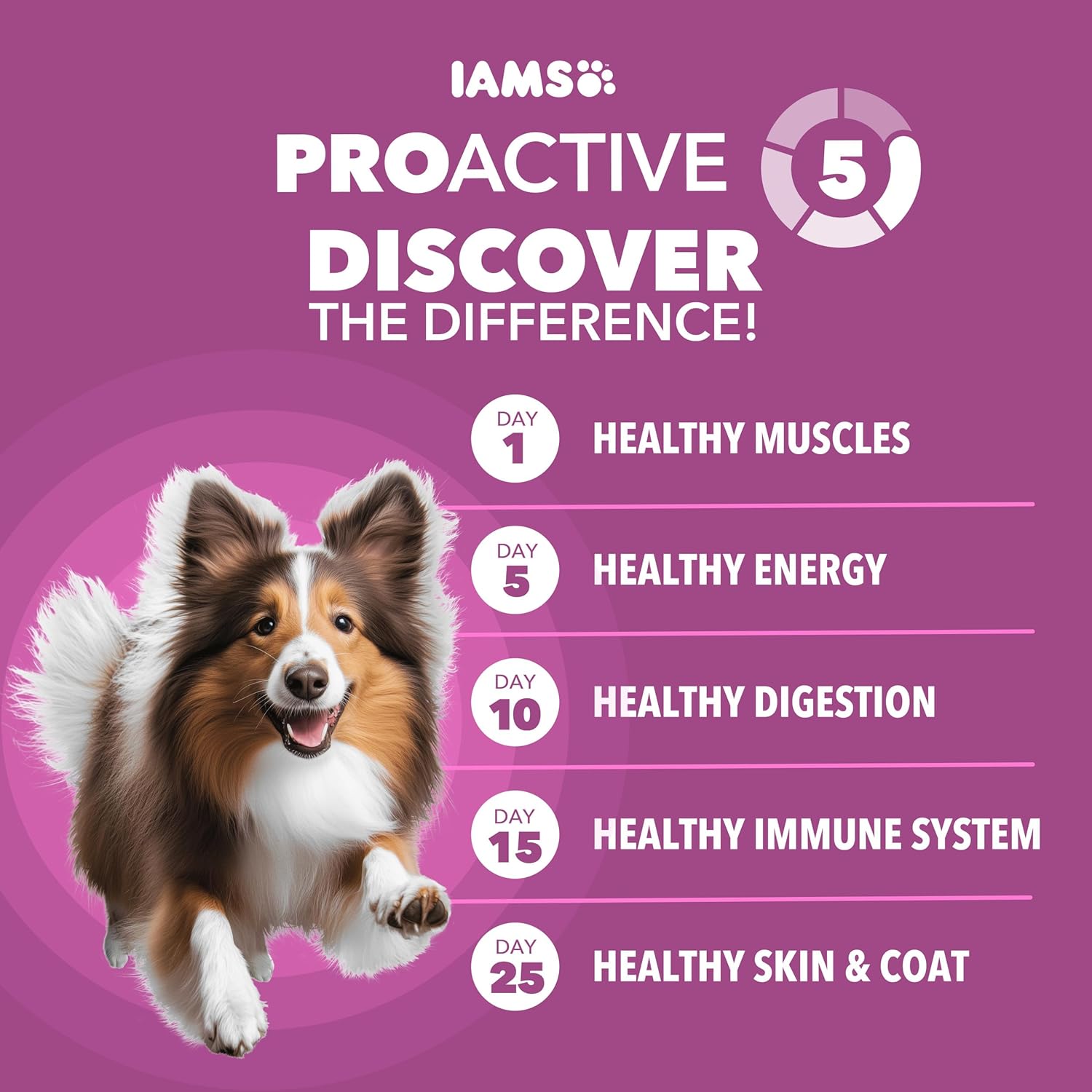 IAMS Proactive Health Healthy Aging Large Breed Dog Food for Mature and Senior Dogs with Real Chicken, 15 lb. Bag
