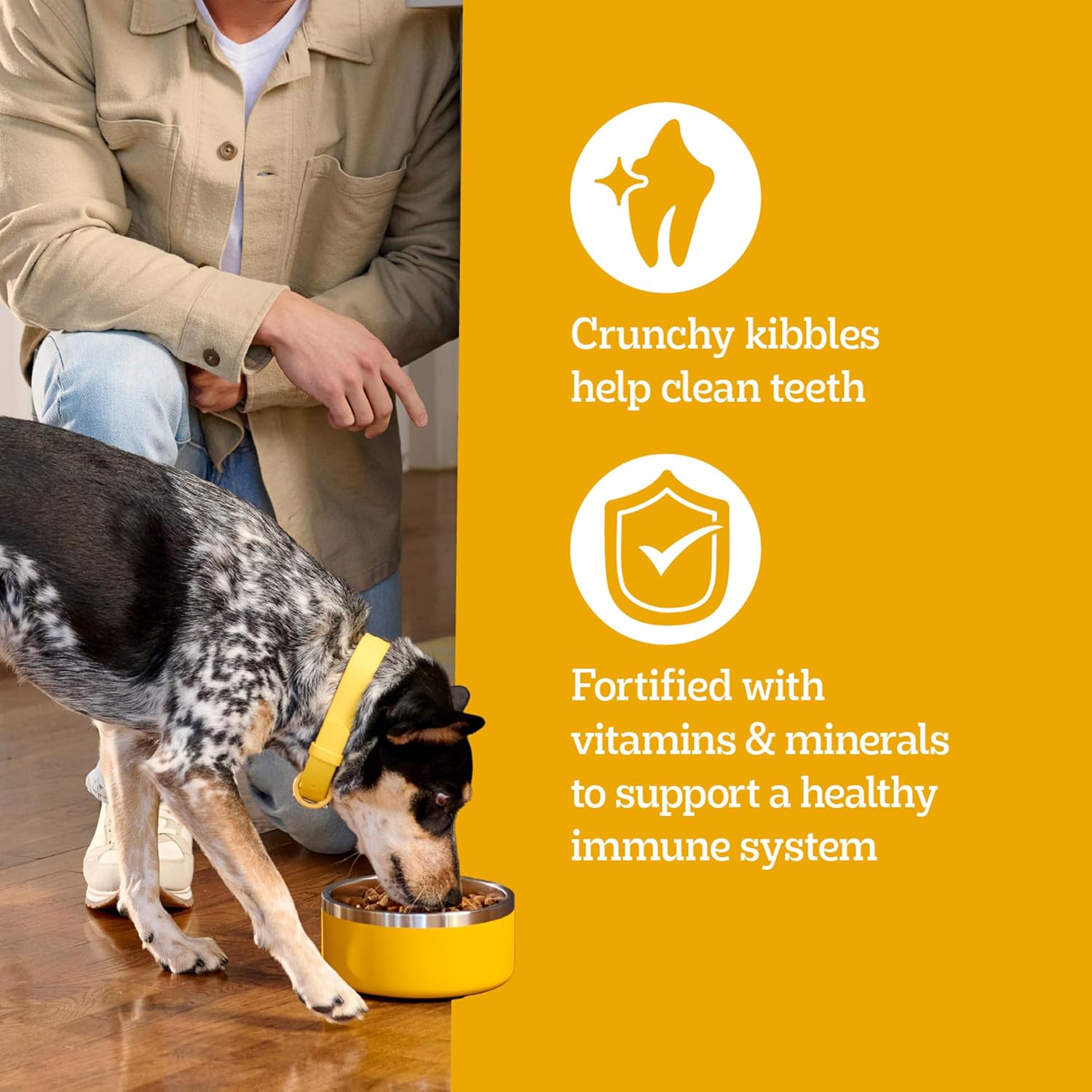 Pedigree Large Breed Dry Dog Food, Roasted Chicken, Rice and Vegetable Flavor, 16 lb. Bag