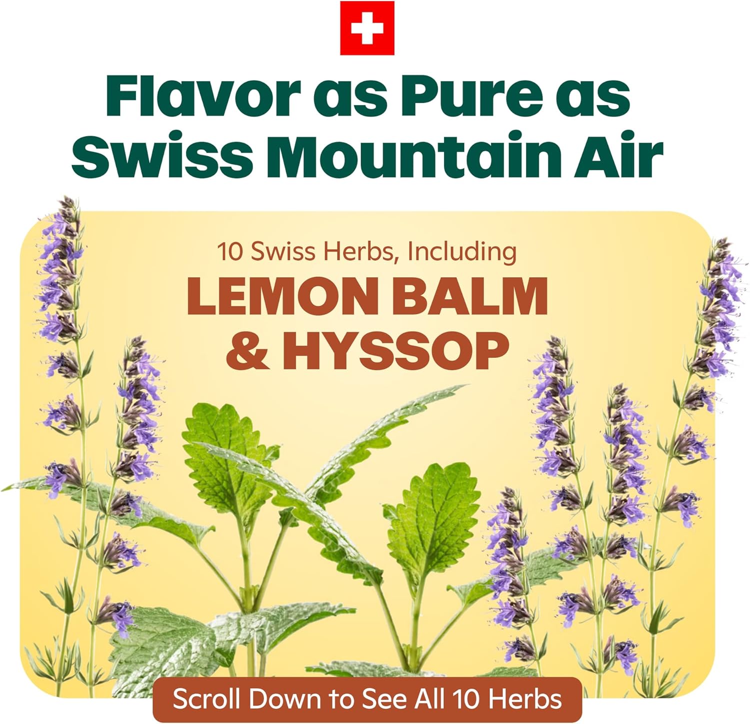RICOLA SUGAR-FREE LEMON MINT THROAT DROPS: Ricola Lemon Mint Throat Drops combine refreshing lemon and mint with soothing menthol, flavored by Ricola's delicious blend of Swiss alpine herbs. A sugar-free lozenge that is soothing, effective, & pleasant. Active Ingredient (in each drop): Menthol, 1.5 mg (Also available with sugar in our variety pack.) SWISS HERBAL BLEND: Ricola's unique formula uses a secret blend of ten herbs grown in the Swiss mountains with natural farming guidelines. Our cough drops & sore throat lozenges offer the soothing relief of menthol with pleasantly herbal ingredients. RICOLA THROAT DROPS: Our throat lozenges have been trusted for coughs and sore throats from colds for over 80 years. Ricola is the original choice for relief, with soothing, calming menthol and the delicious flavor of our Swiss mountain herbal blend.