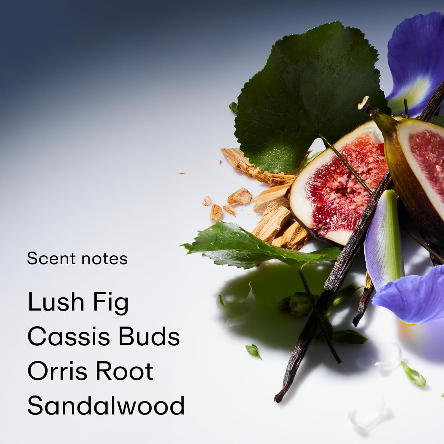 PHLUR Father Figure Perfume for Women & Men, 50 mL – Fig & Vanilla Eau de Parfum